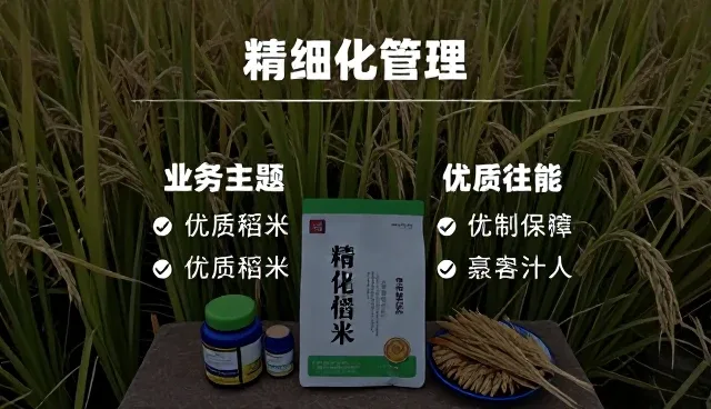 渠道分销选型关注点：业务趋势下的关键考量